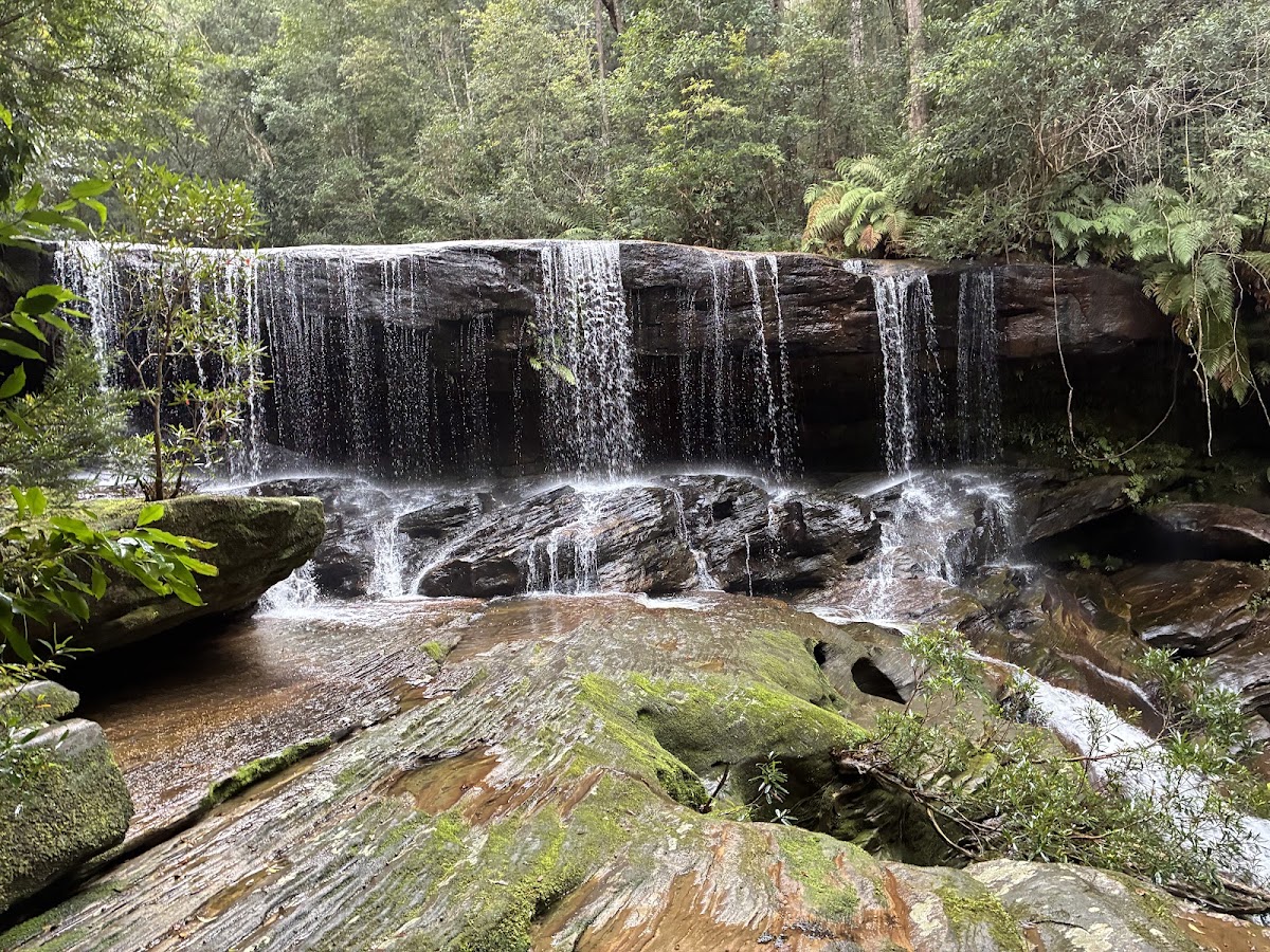 Somersby Falls Bottom Fall