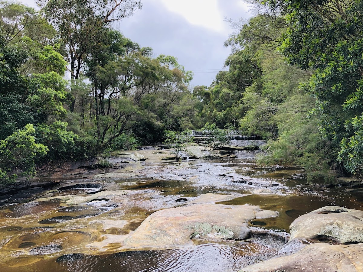 Somersby Falls Bottom Fall