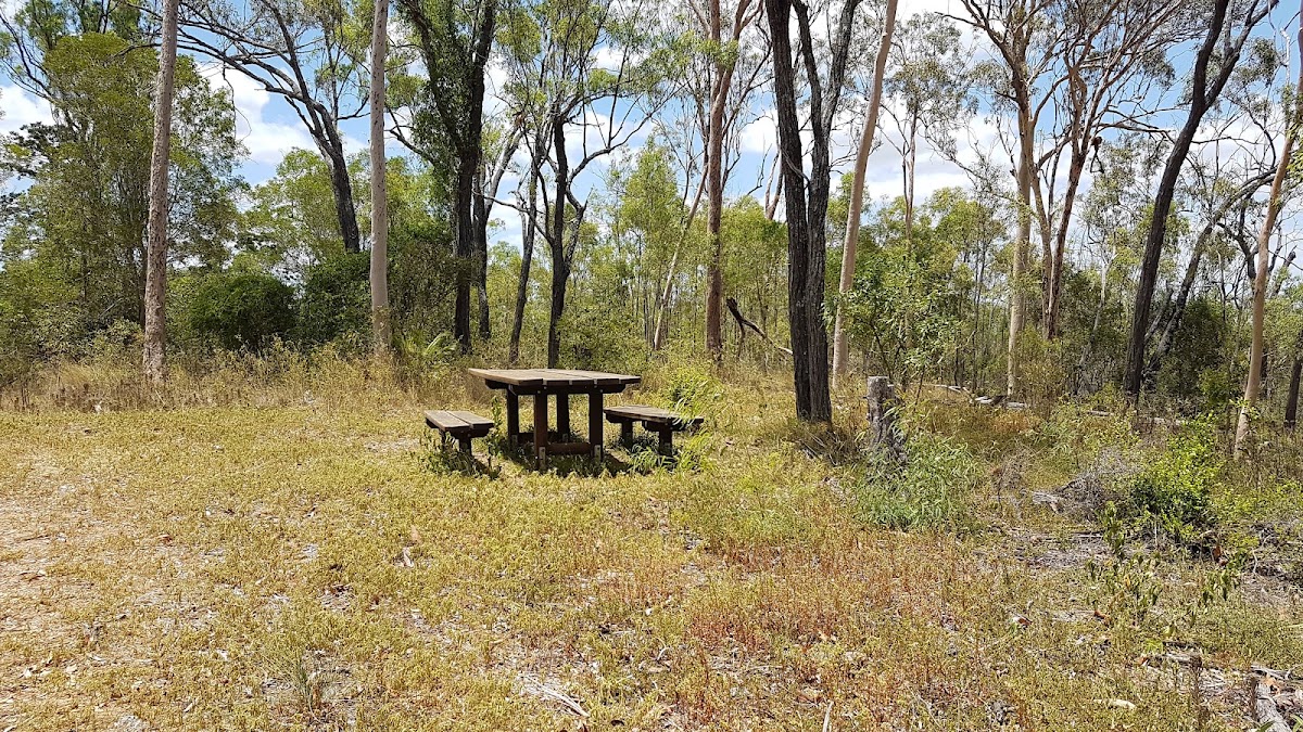 Good Night Scrub National Park
