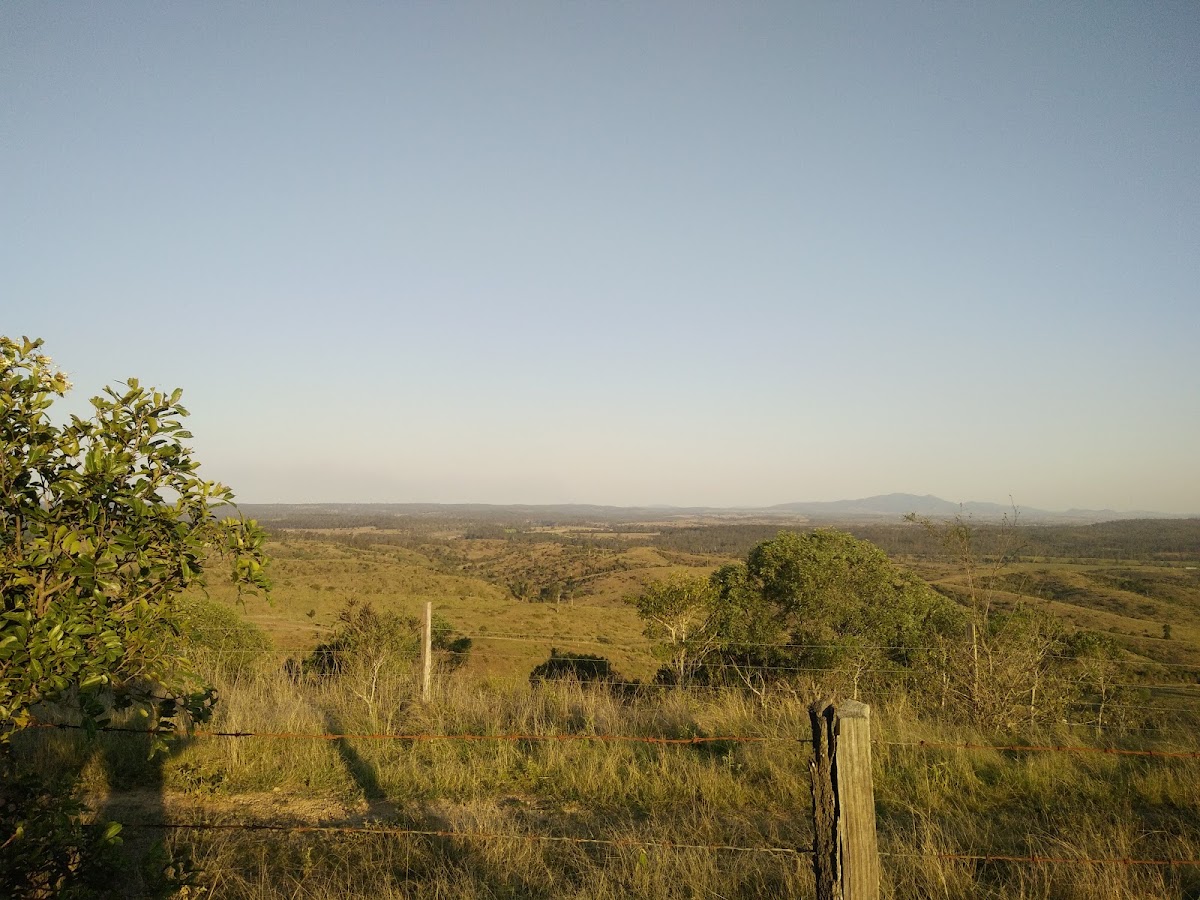Good Night Scrub National Park