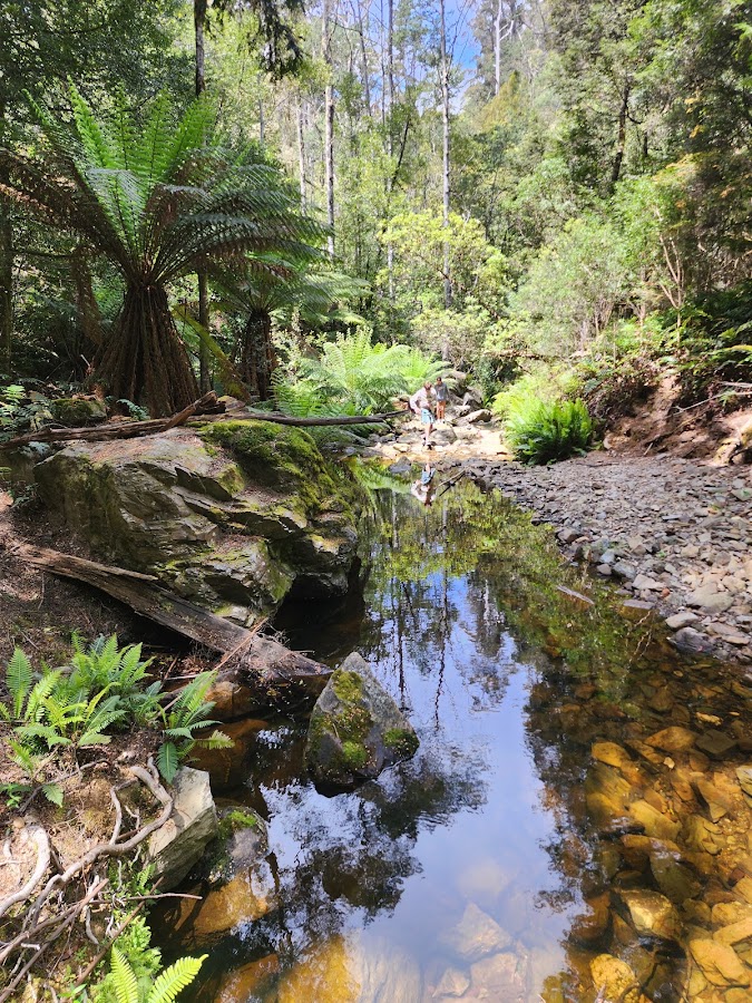 Holwell Gorge Falls (Top)