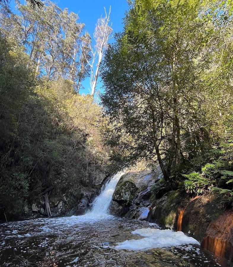 Holwell Gorge Falls (Top)