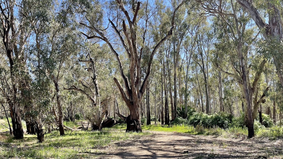Markeys Beach Camp