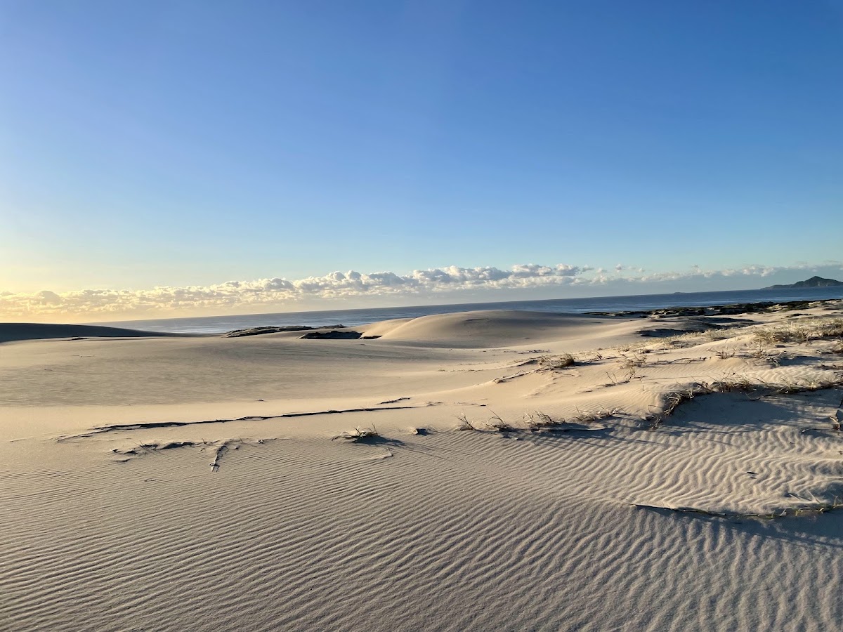 Myall Lakes National Park