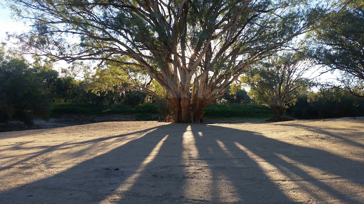 Cooper Creek Beach Campground