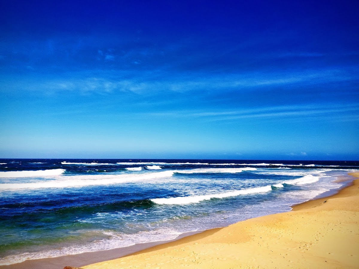 Nobbys Beach