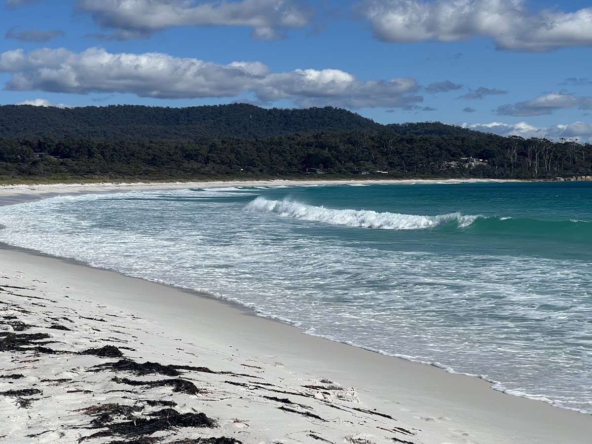 Swimcart Beach