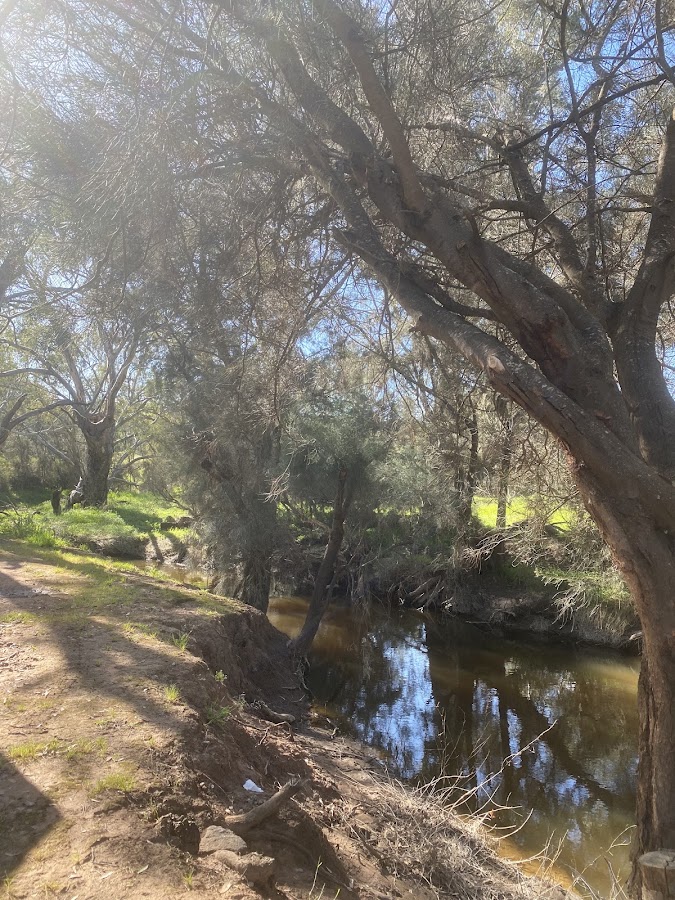 Dewars Pool Reserve