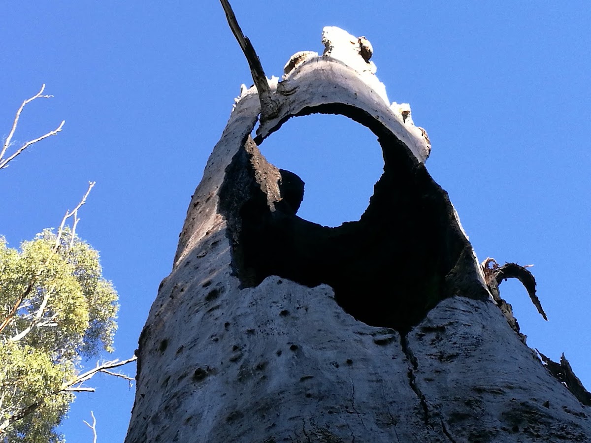 Keppel Creek Camping Area
