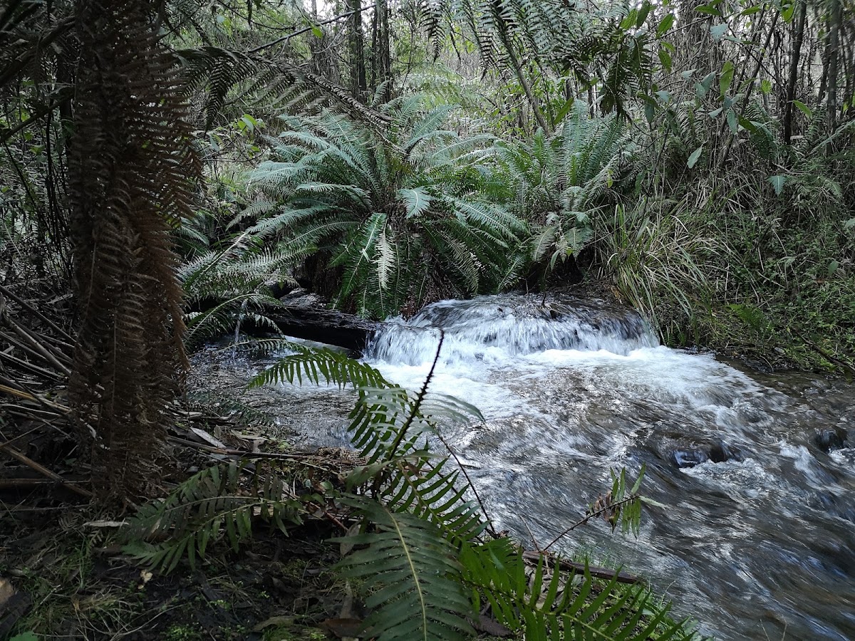 Keppel Creek Camping Area