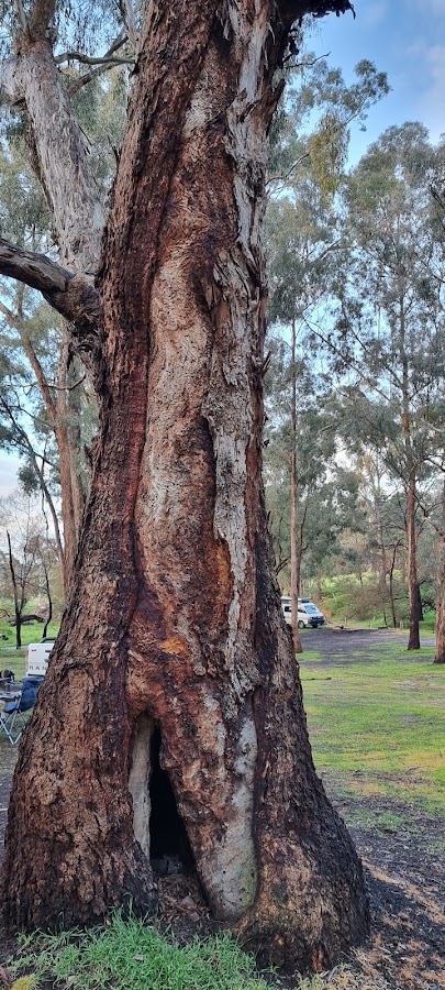 Waterfalls Campground
