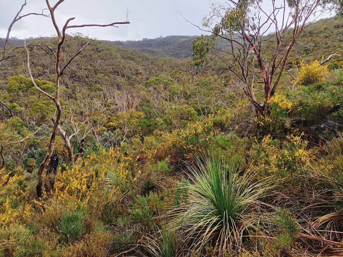 Kujungurru Warrarn Conservation Park