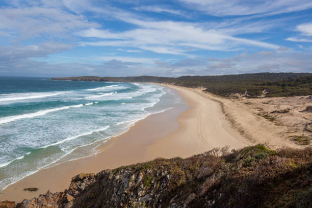 Wanda Beach