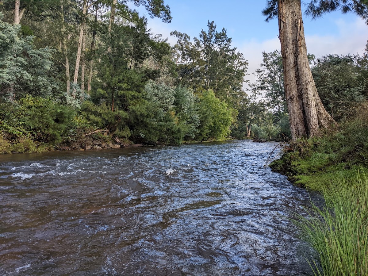McIntyres Campground