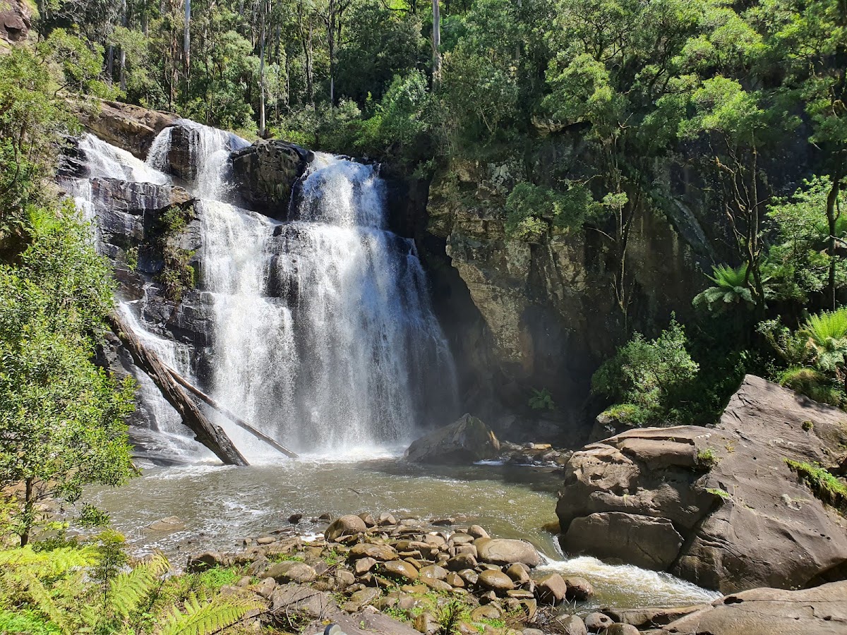 Simmons Falls