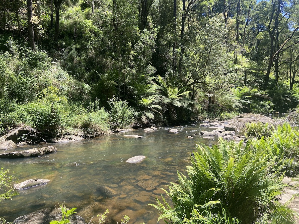 Simmons Falls