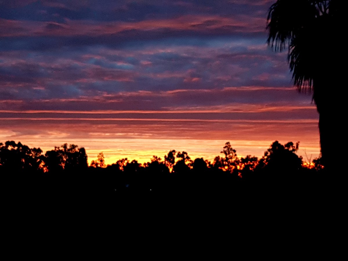 Gayndah Caravan Park