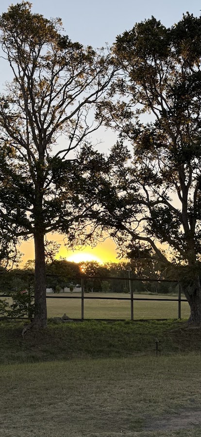 Gayndah Caravan Park