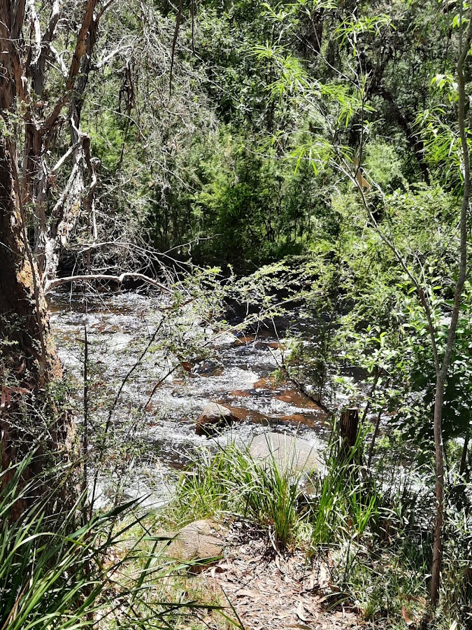 Kendalls Camp Area