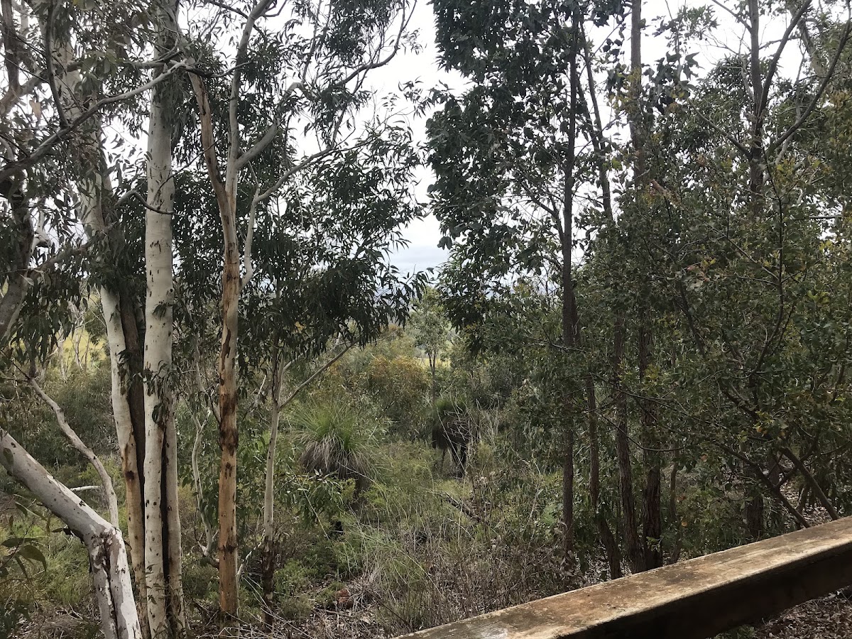 Dandalup Camp Site