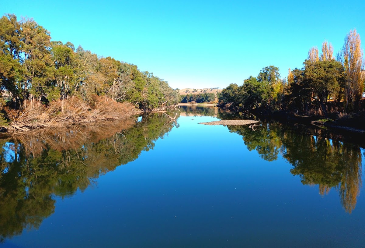 Jugiong Camping Reserve