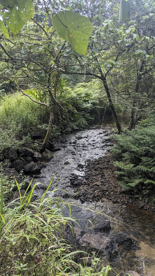 Japoon National Park