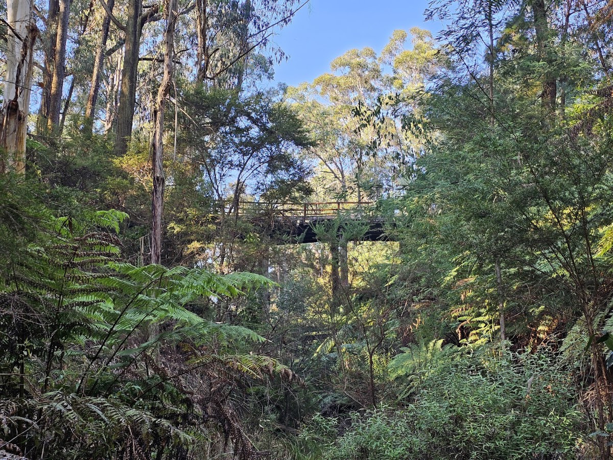 Wooden bridge