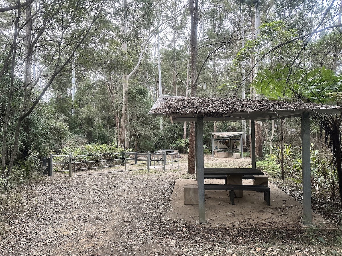 Freeman's Lookout