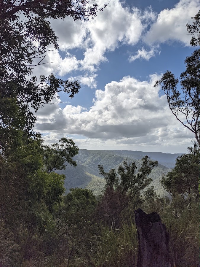 Freeman's Lookout