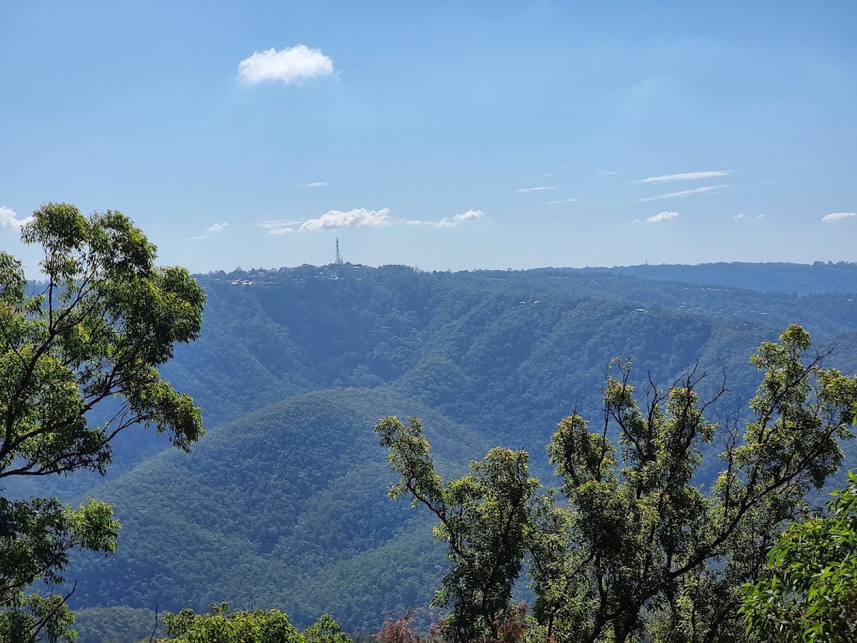 Freeman's Lookout