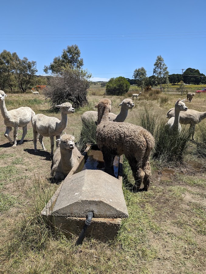 Hesperilla Conservation Park
