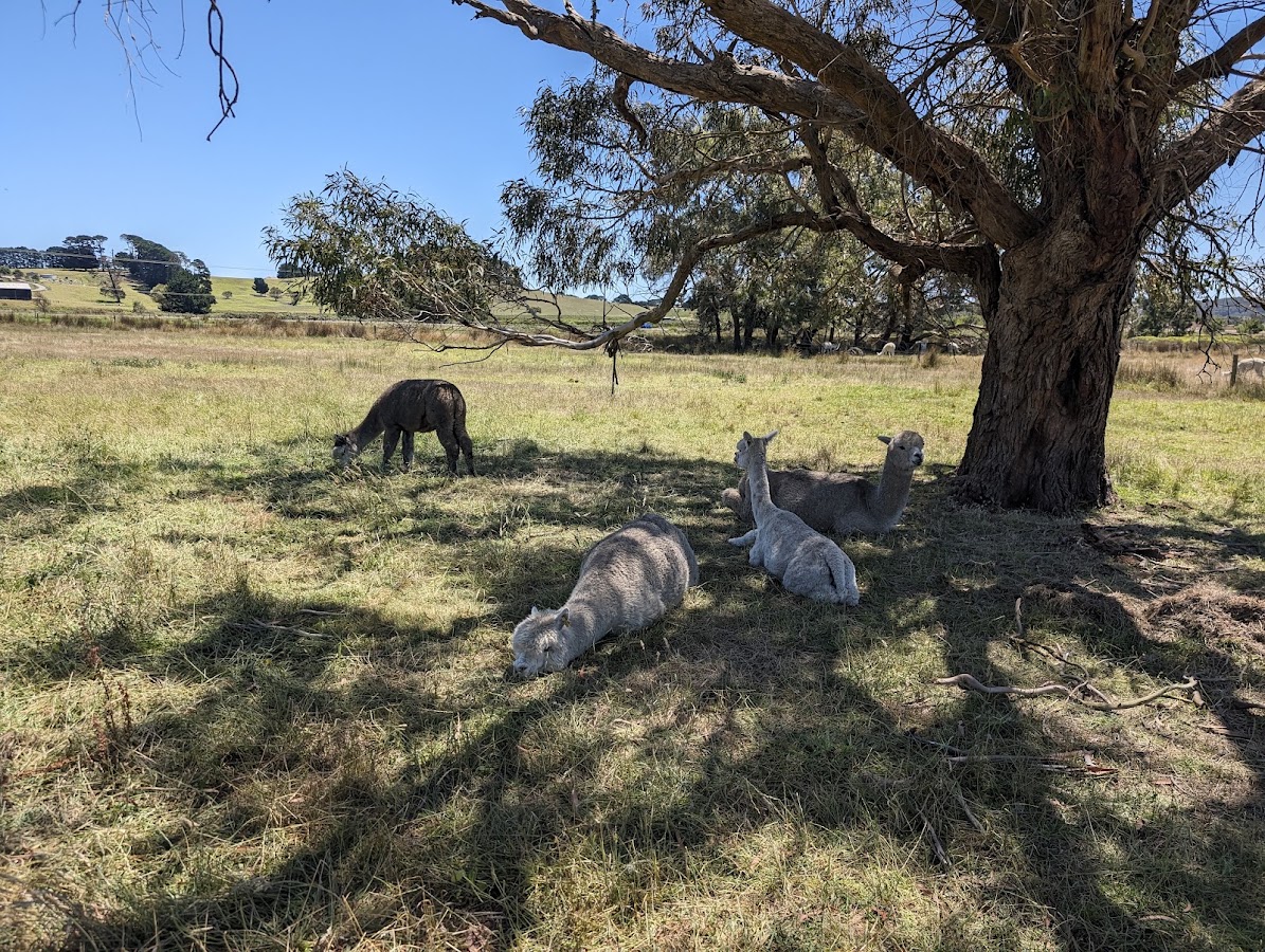 Hesperilla Conservation Park