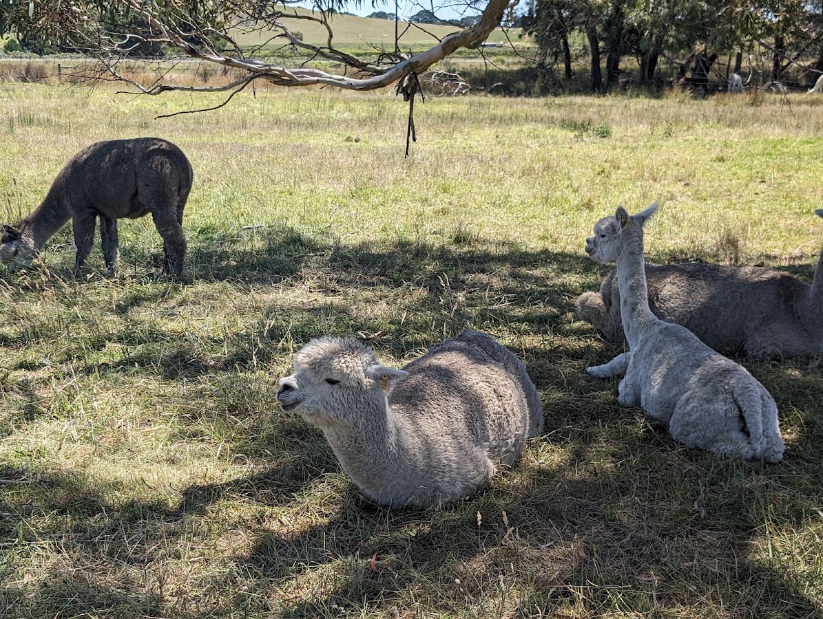 Hesperilla Conservation Park