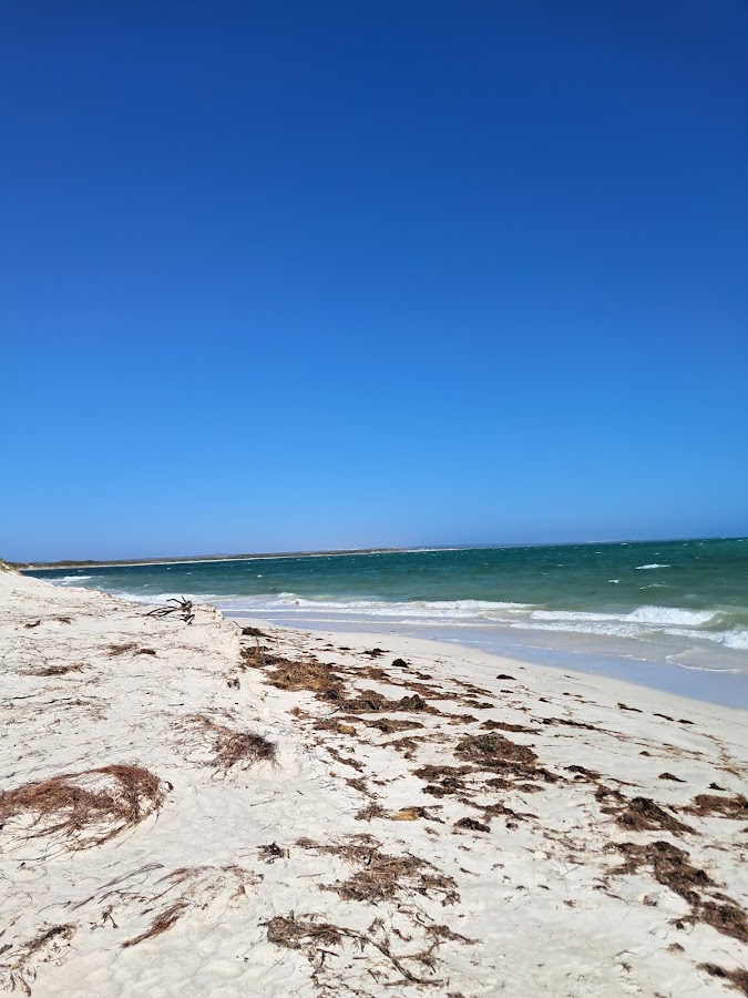 Thirsty Point Reserve