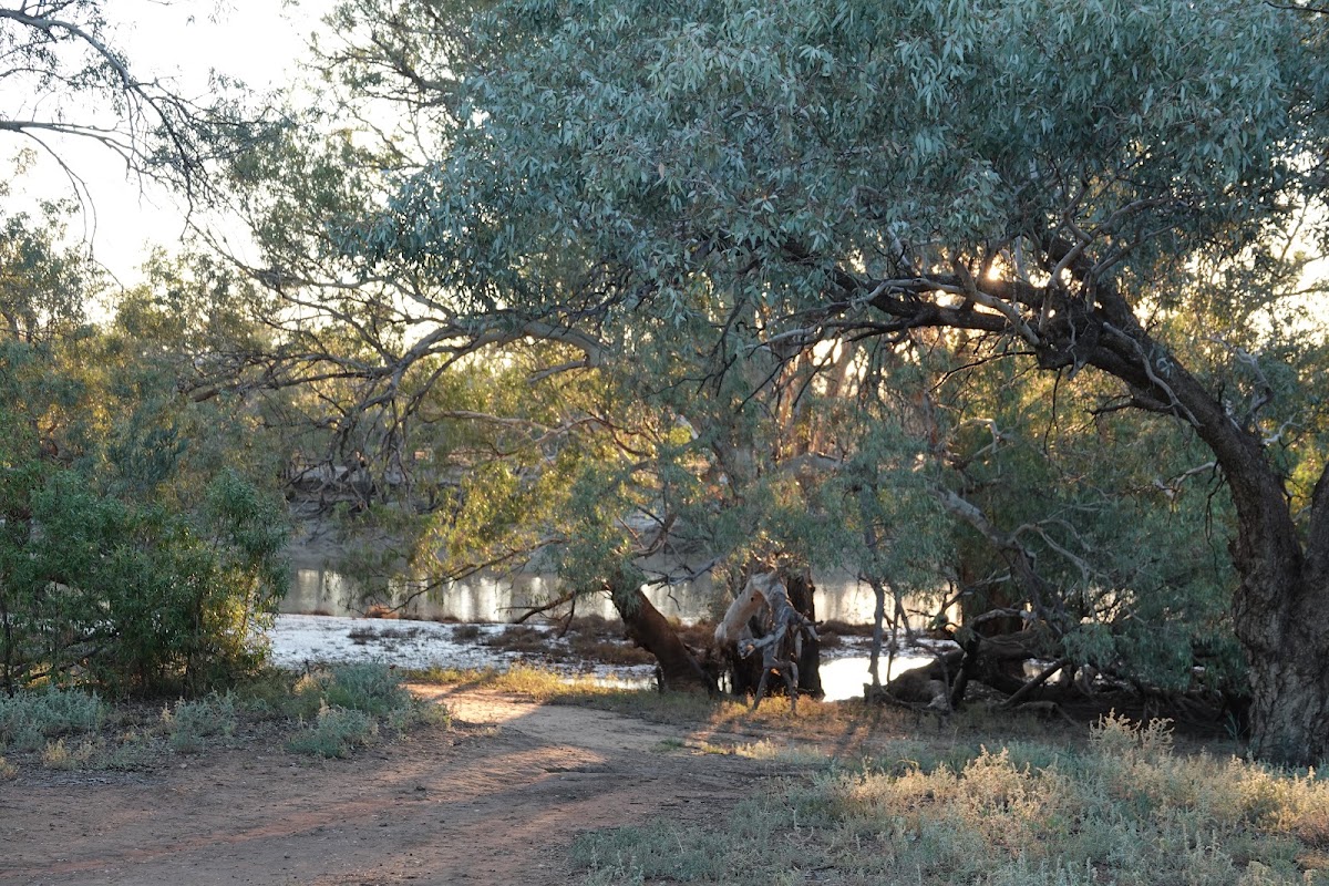 Yanda Campground