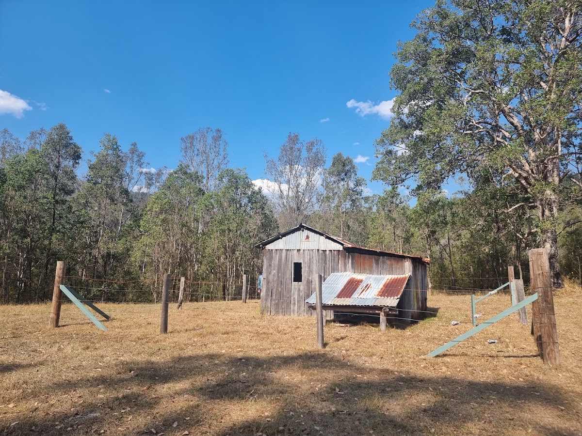 Buccarumbi Bridge Campground