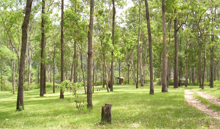 Buccarumbi Bridge Campground