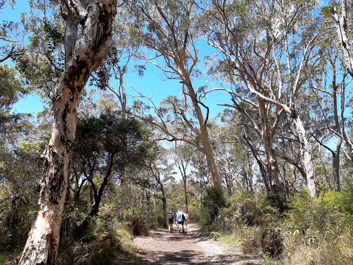 Mooloolah River Conservation Park