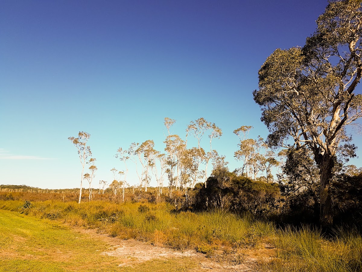Mooloolah River Conservation Park