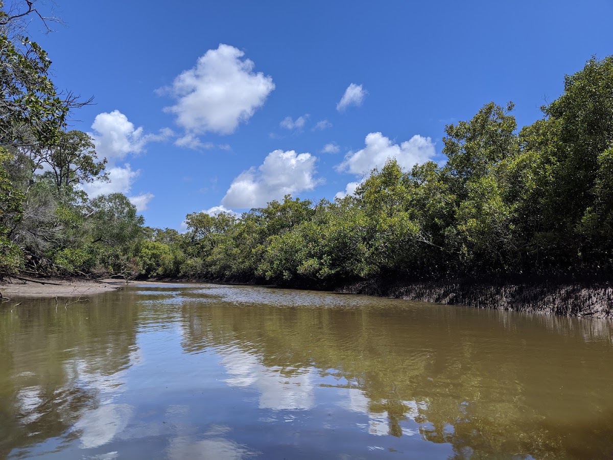 Mooloolah River Conservation Park
