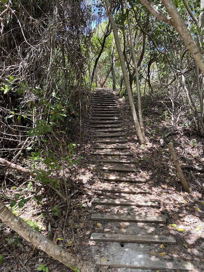 Currimundi Lake (Kathleen McArthur) Conservation Park