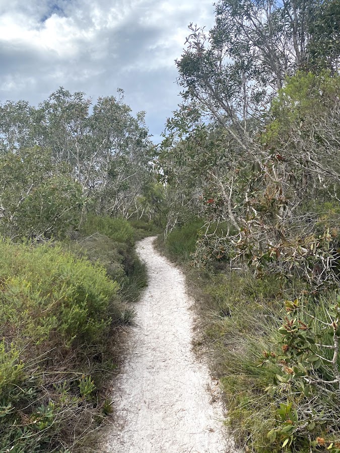 Currimundi Lake (Kathleen McArthur) Conservation Park