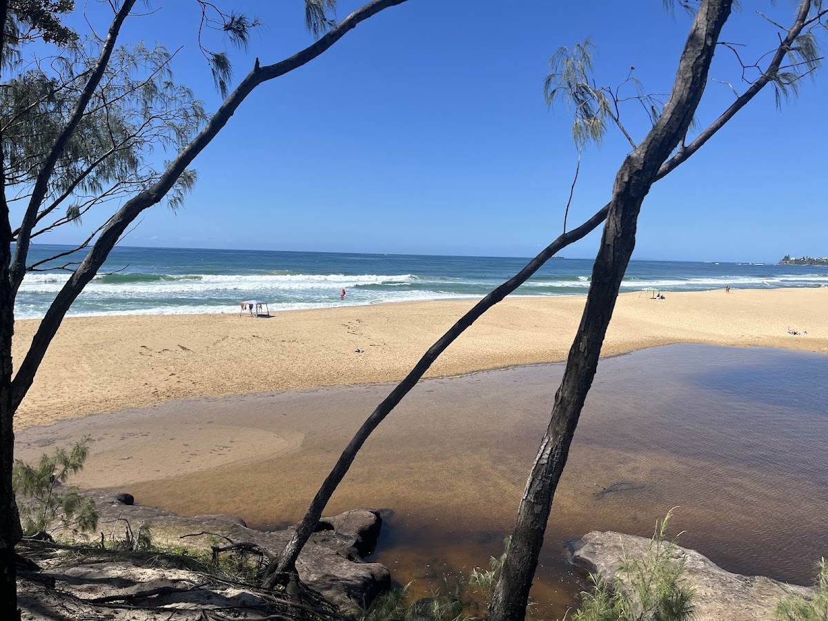 Currimundi Lake (Kathleen McArthur) Conservation Park