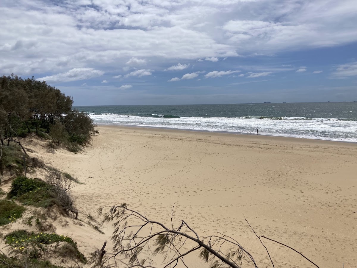 Currimundi Lake (Kathleen McArthur) Conservation Park