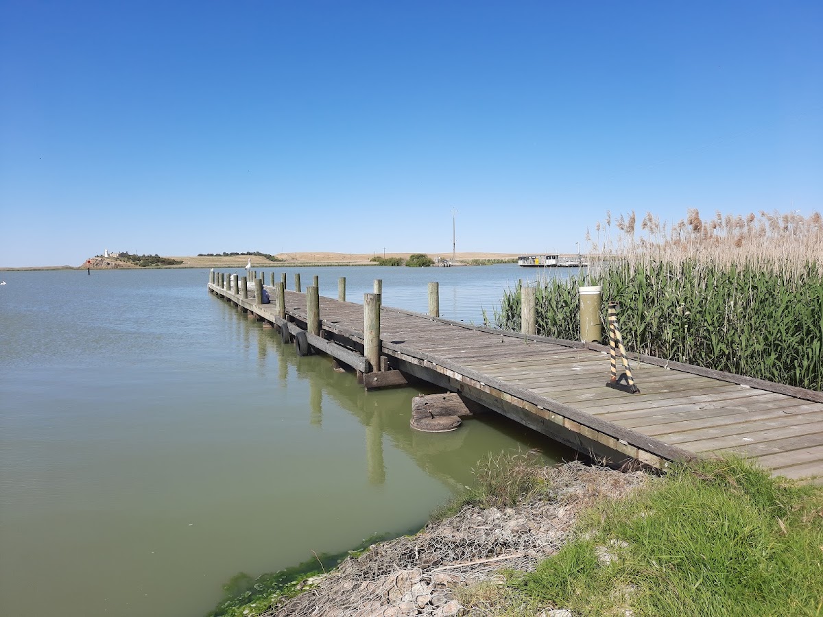 Narrung Jetty Reserve