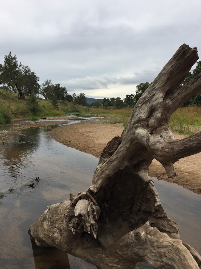 Bluff Creek Campground