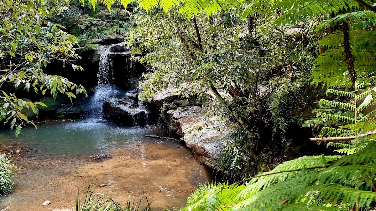 Calcutta Falls
