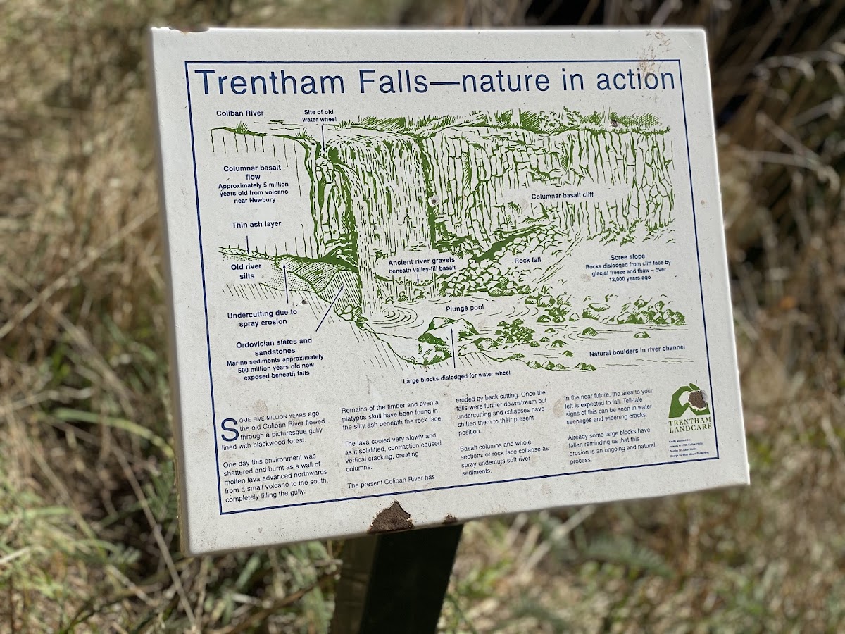 Coliban Falls
