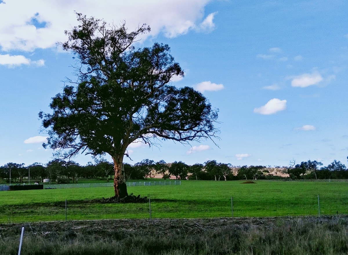 Mogumber Hall Rest Area