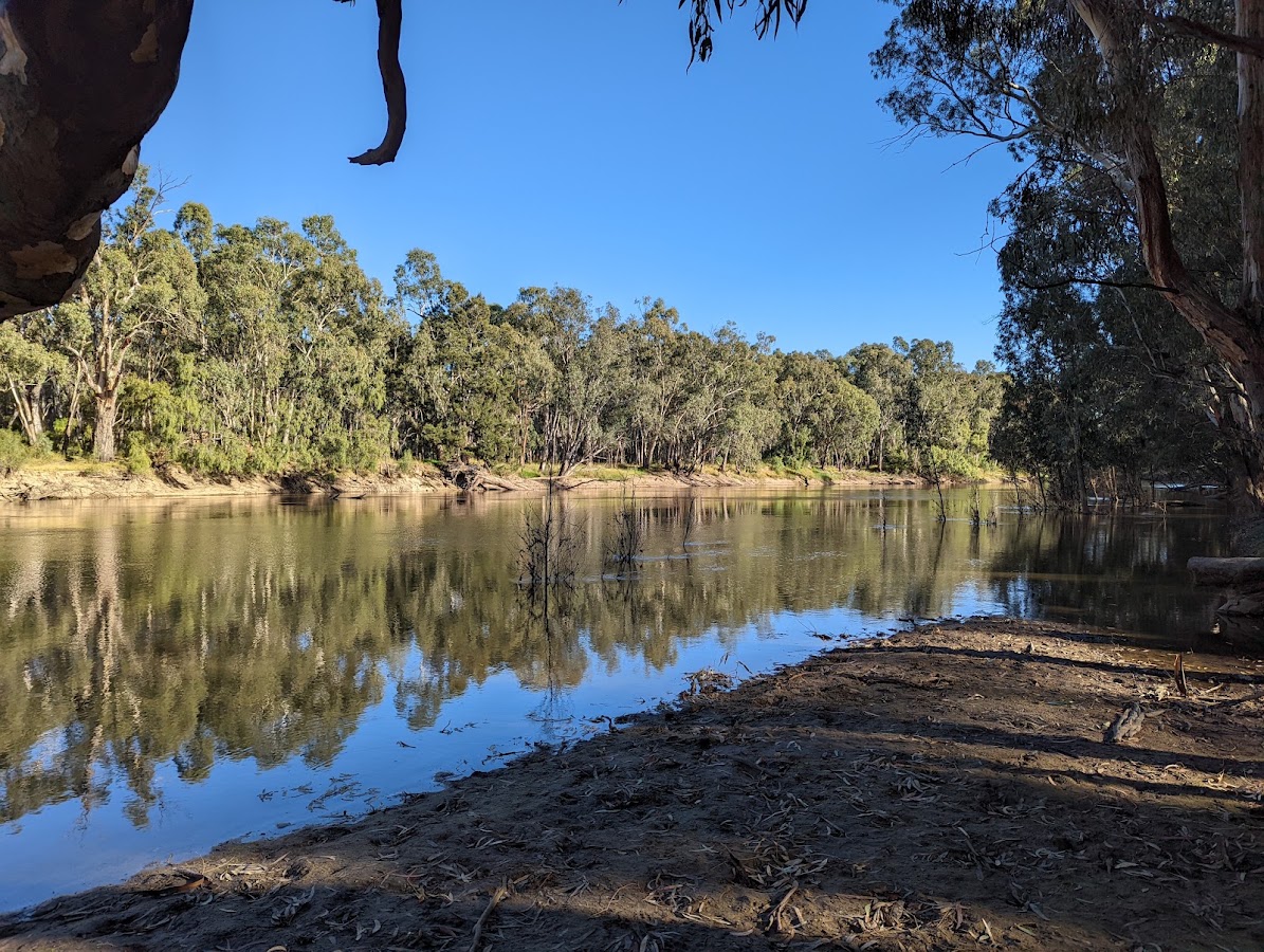 Bunyip's Camp